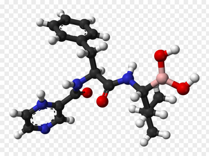 Bortezomib Pharmaceutical Drug Sildenafil Tadalafil United States Adopted Name PNG