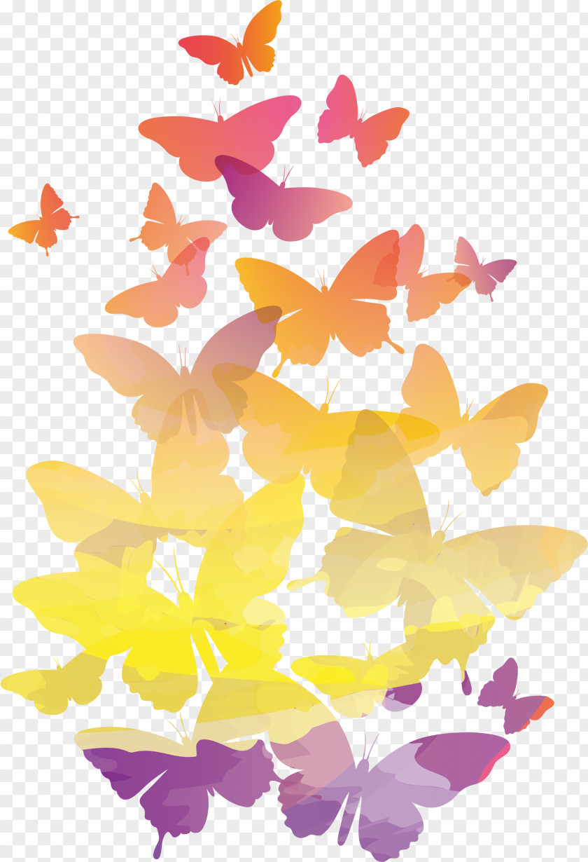 Butterfly T-shirt Hoodie PNG