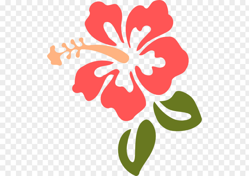 Hibiscus Hawaii Luau Clip Art PNG