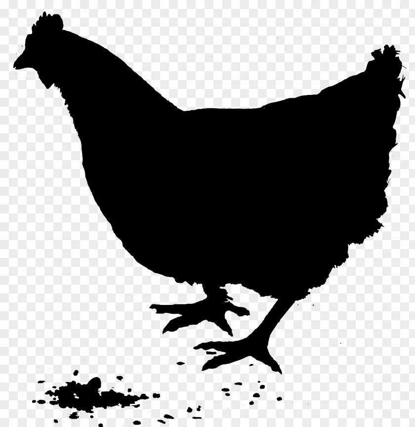 Rooster Silhouette Vector Graphics Chicken As Food Rhode Island Red PNG