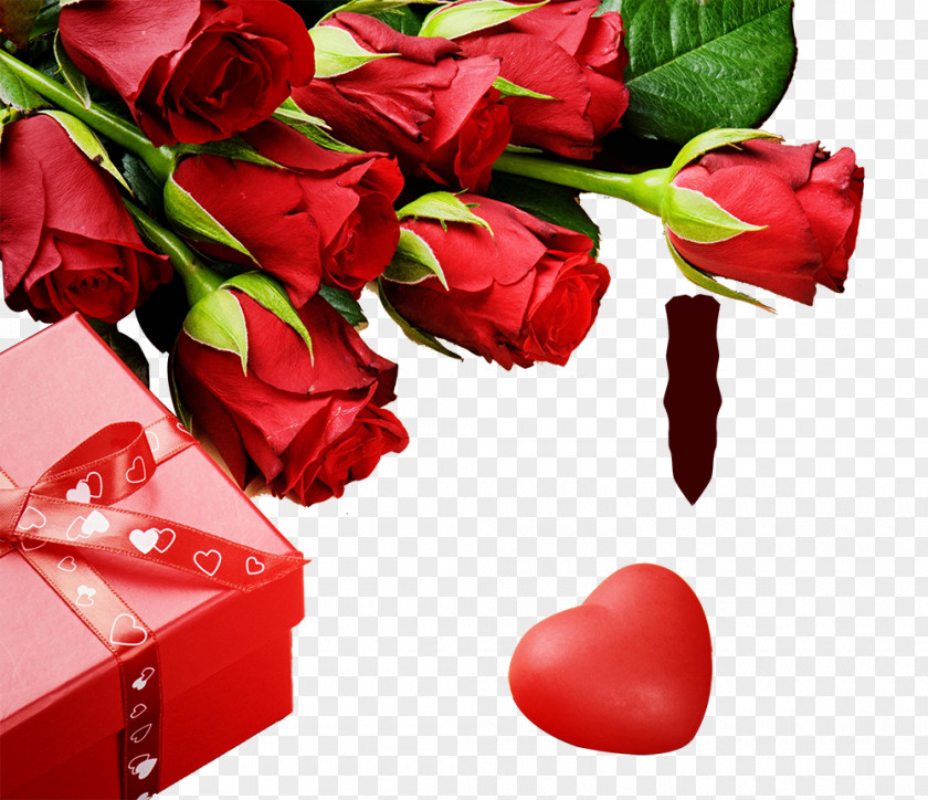 Rose Creative Love Valentines Day Romance Wallpaper PNG