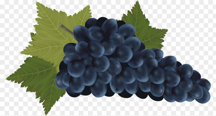 A Bunch Of Grapes Red Wine Common Grape Vine Bottle PNG