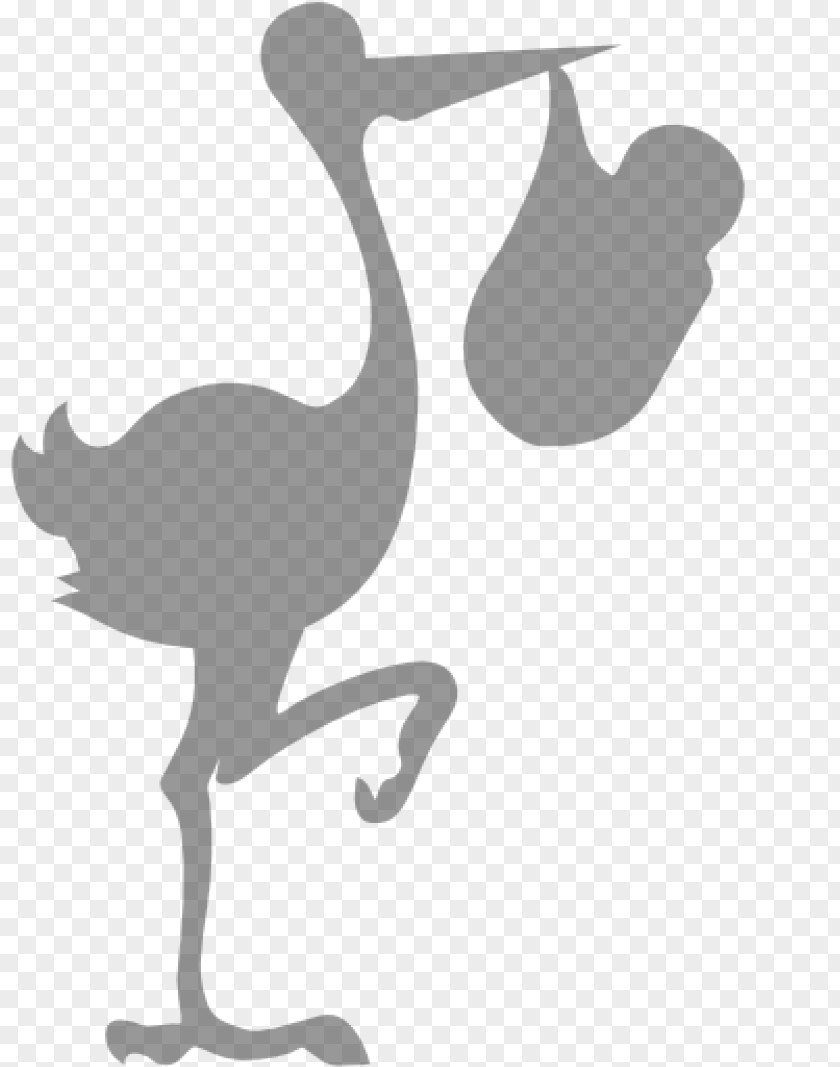 BABY NACIMIENTO Mr. Stork Duck Crane Clip Art PNG