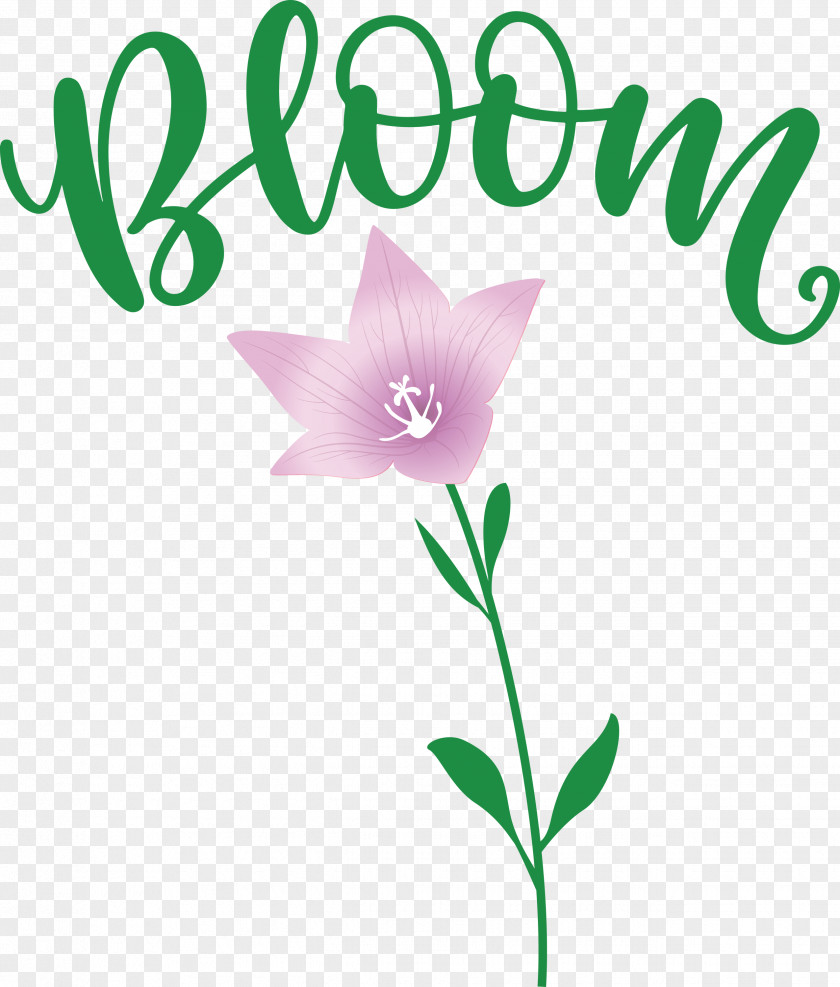 Bloom Spring Flower PNG