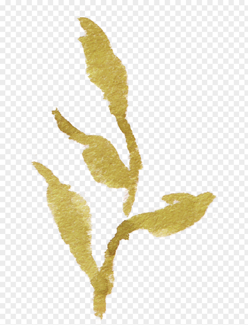 Leaves Falling Element Transparent Leaf PNG