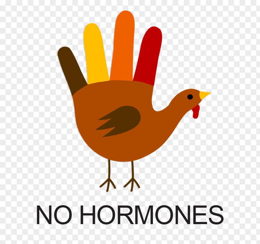 No Hormones Cliparts Turkey Meat Drawing Hand Clip Art PNG