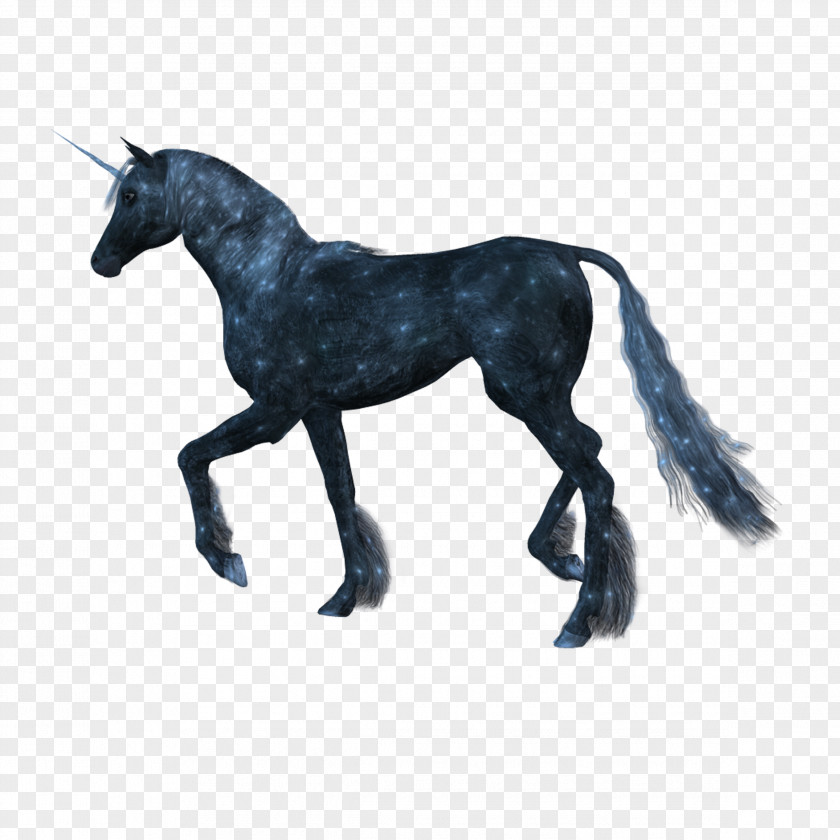 Unicorn Horse PNG