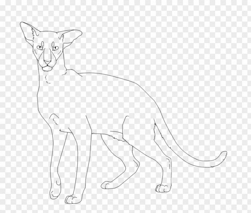 Cat Whiskers Lion Red Fox Dog PNG