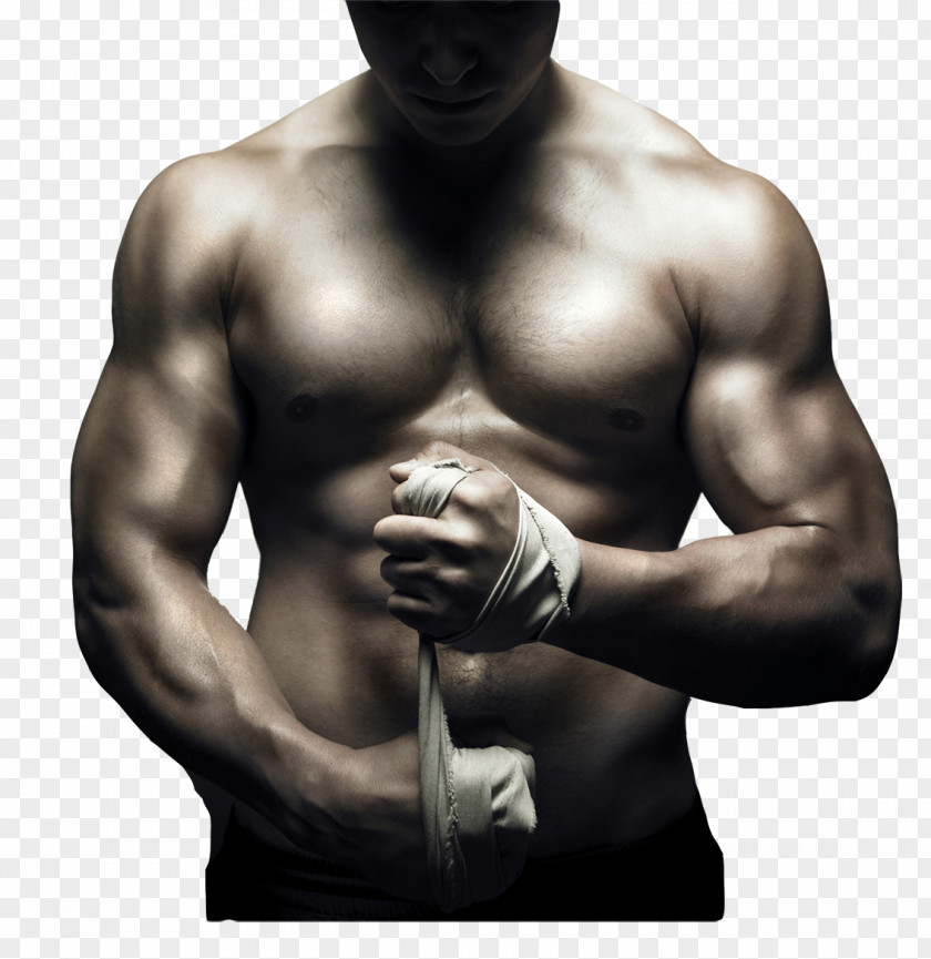 Fitness Mixed Martial Arts Karate High-definition Video Wallpaper PNG