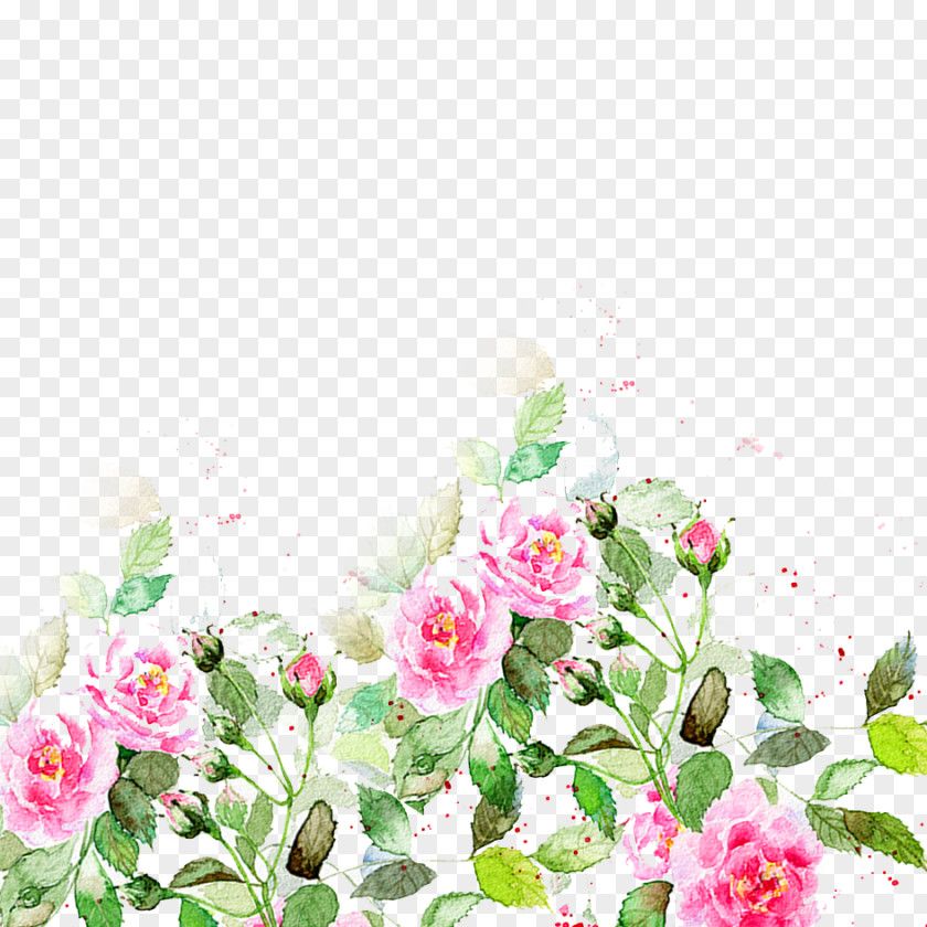 Beautiful Flowers Hand Material PNG