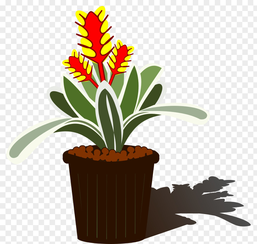 Bromeliad Bromelia Aechmea Chantinii Tillandsia Clip Art PNG