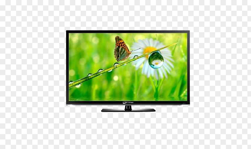 Led Tv Image LED-backlit LCD HD Ready Television Micromax Informatics PNG