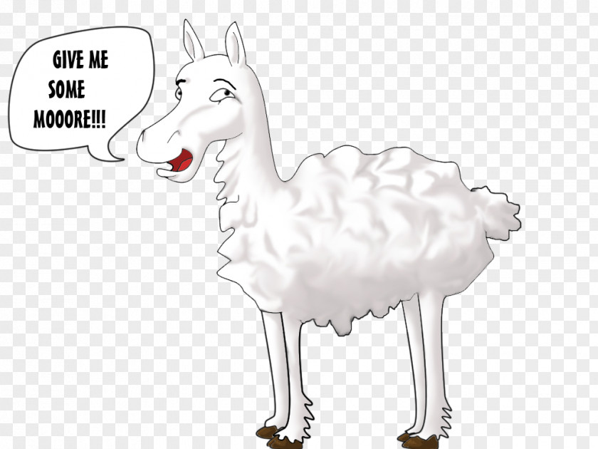 Sheep Deer Goat Mammal Horse PNG