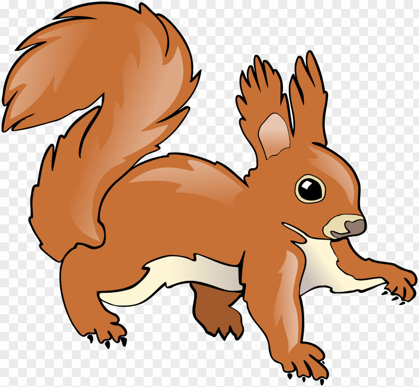 Squirrel Hare Chipmunk Rodent Clip Art PNG