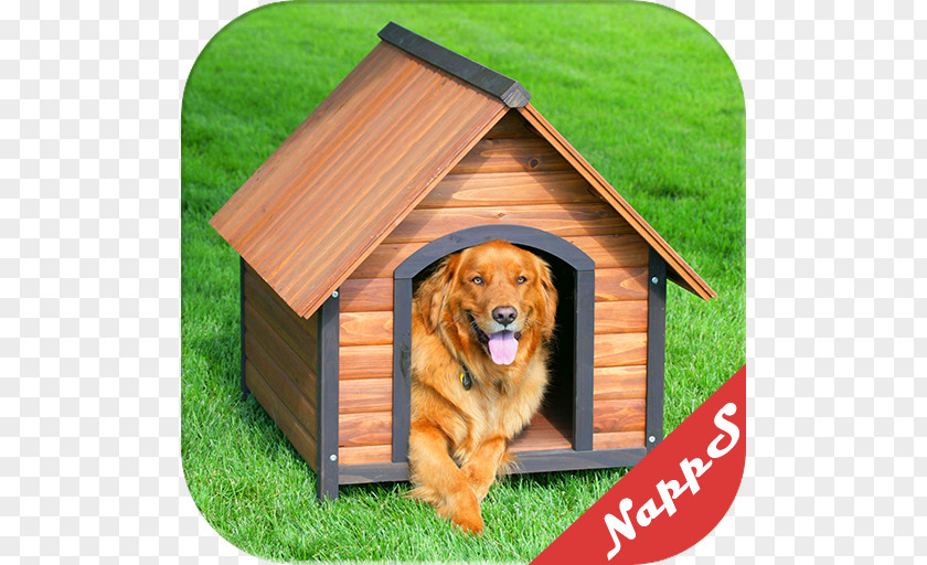 Cat Dog Houses Rottweiler Pet Puppy PNG