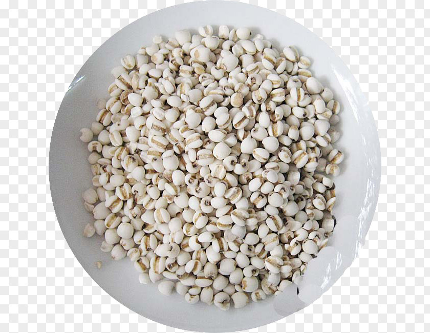 Chinese Medicine Barley Rice Adlay Congee Patjuk Adzuki Bean Moisture PNG