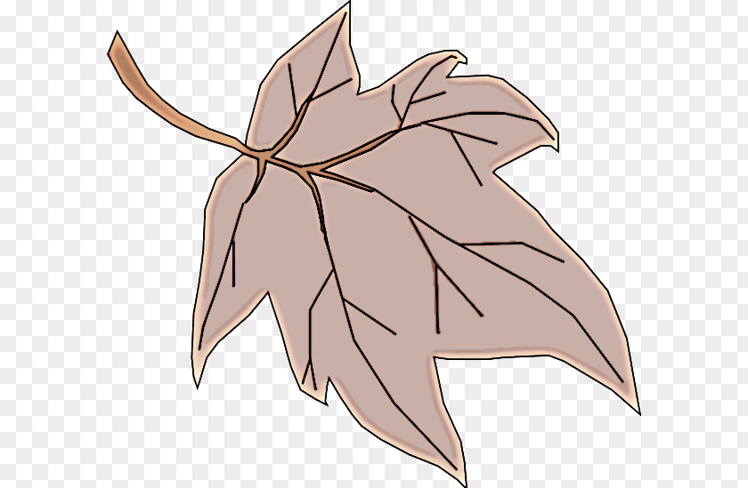 Deciduous Black Maple Leaf PNG