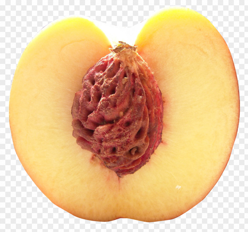 Half Peach PNG