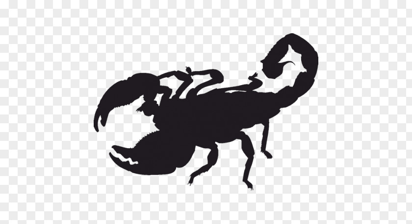 Scorpion Silhouette Clip Art PNG