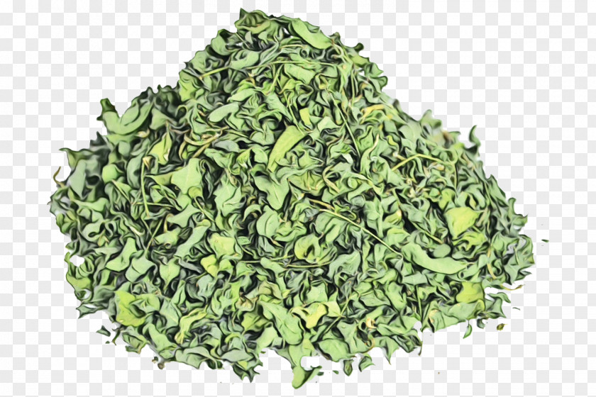 Tieguanyin Herb Plant Leaf Grass Food PNG