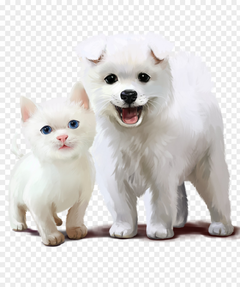 American Eskimo Dog German Spitz Mittel And Cat PNG