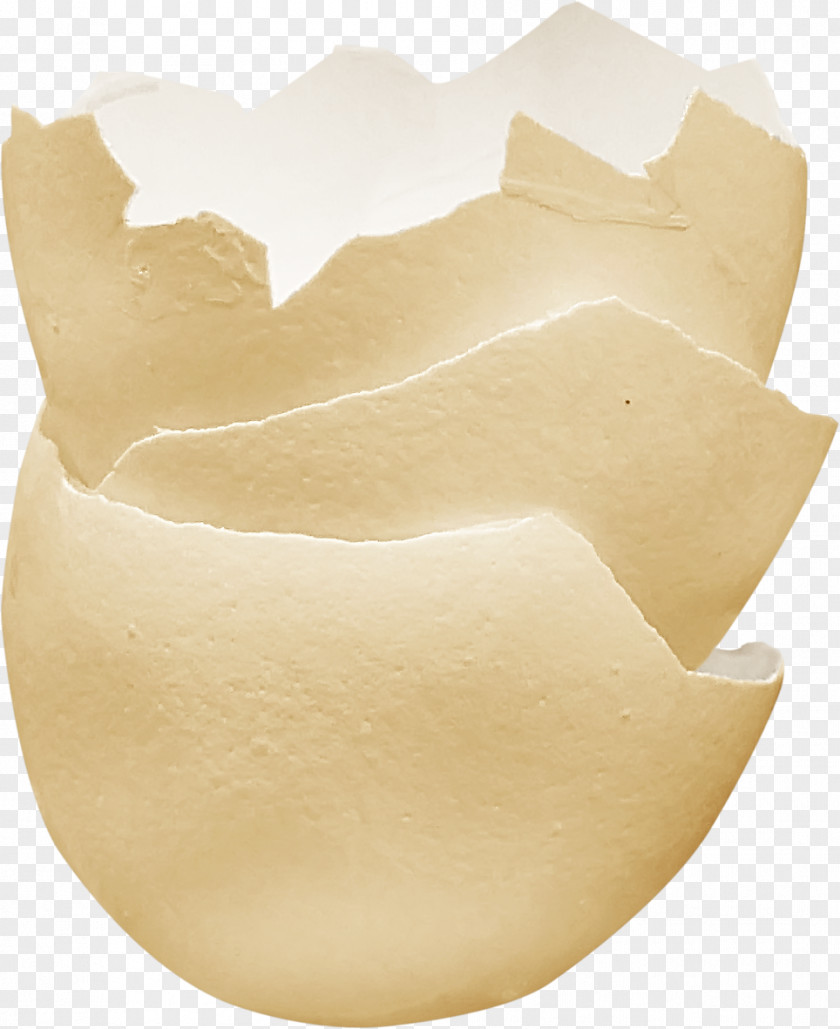 Eggshell Bird PNG