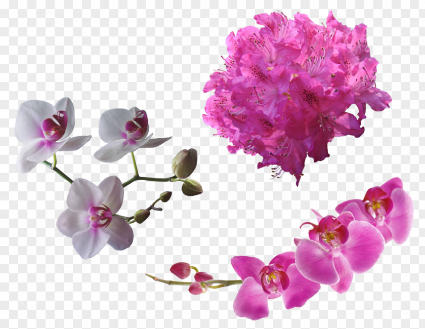 Flower DeviantArt PNG