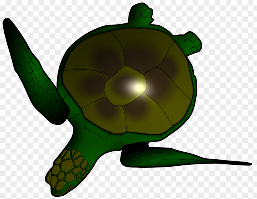 History Sea Turtle Reptile Vertebrate Tortoise PNG
