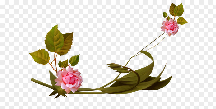 Nengo Flow 2013 Flower Garden Roses Floral Design Clip Art PNG