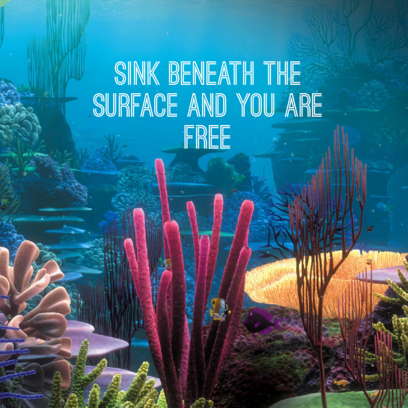 Coral Finding Nemo Desktop Wallpaper High-definition Video Television Display Resolution PNG