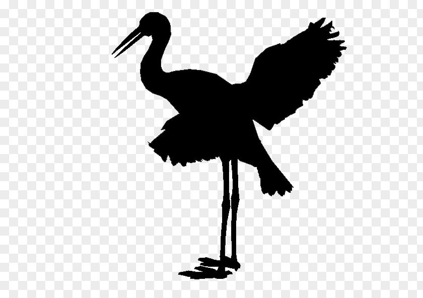 Cygnini Stork Goose Bird Duck PNG