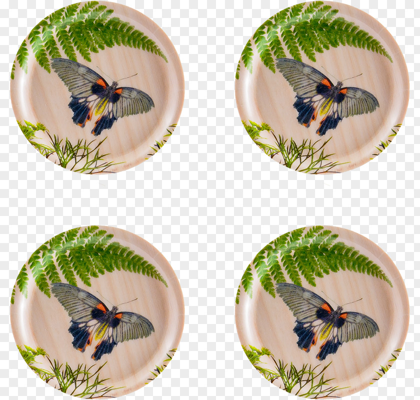 Dill Birch Coasters Tray Insect PNG