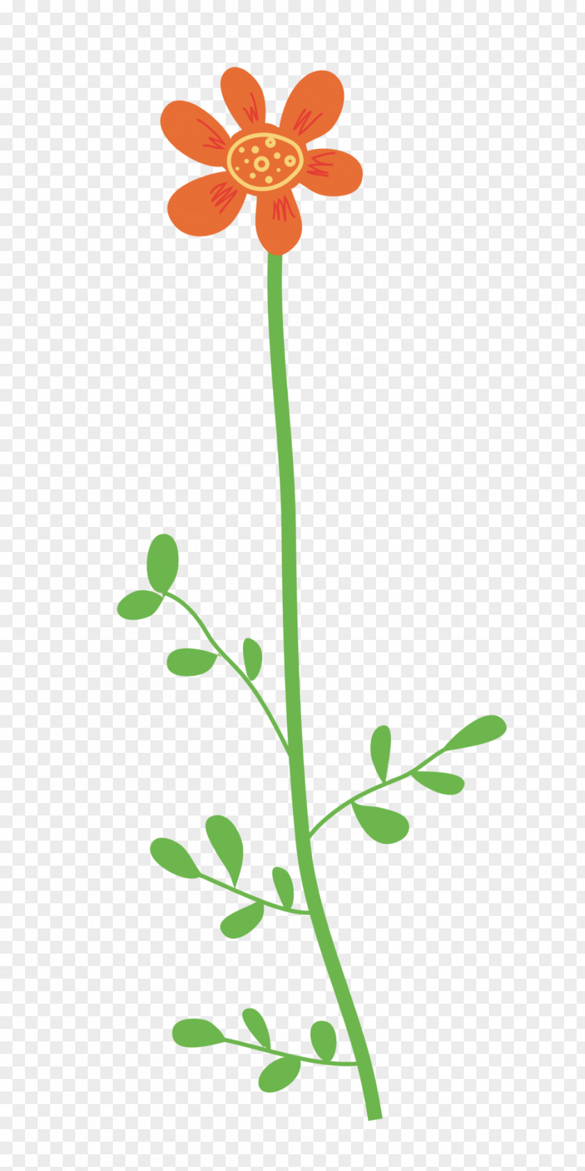Flower Wildflower Plant Stem Clip Art PNG