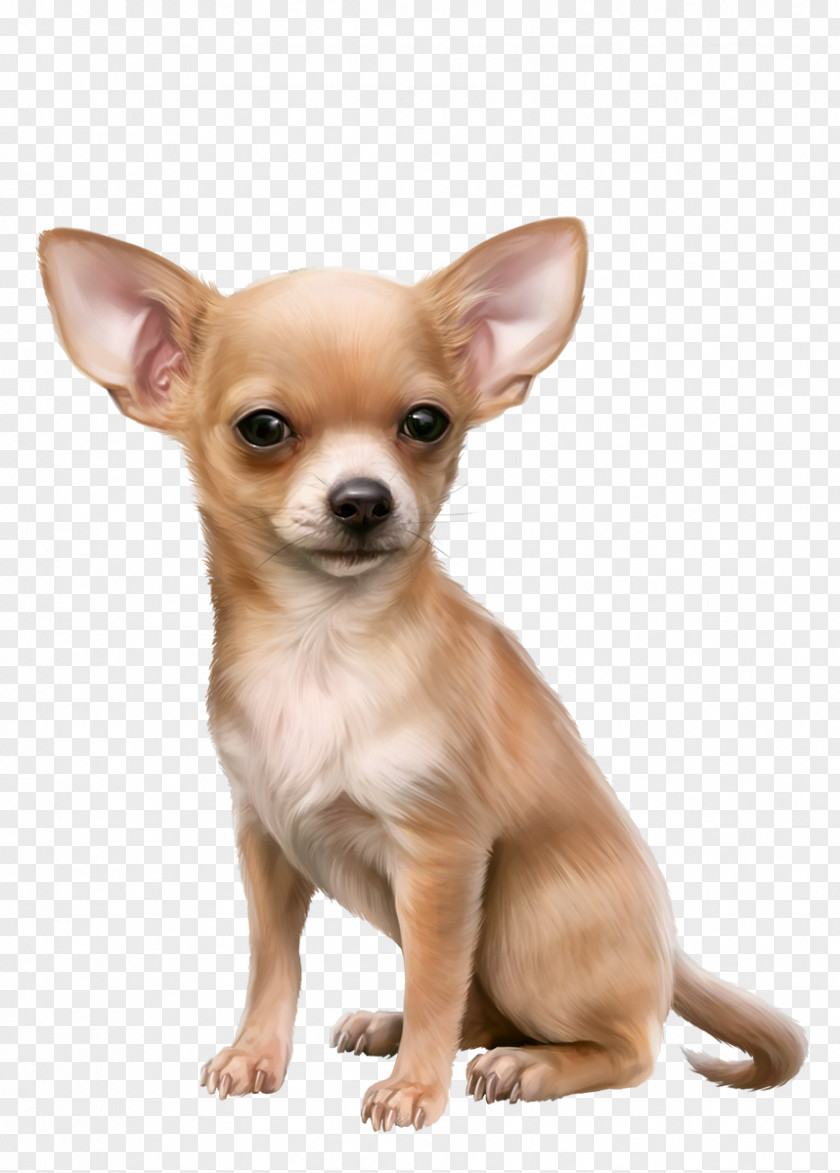 Oscar Chihuahua Russkiy Toy English Terrier Puppy Dog Breed PNG