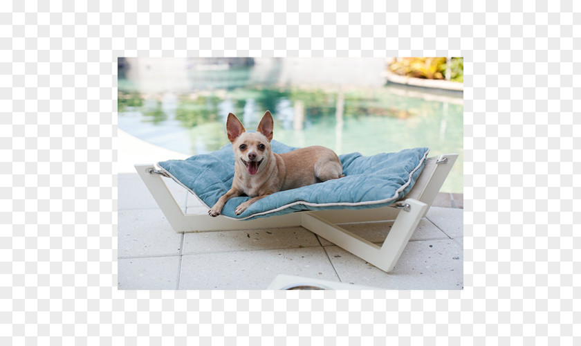 White Cortical Beauty Bed Hammock Dog Breed French Bulldog Chihuahua Sunlounger PNG
