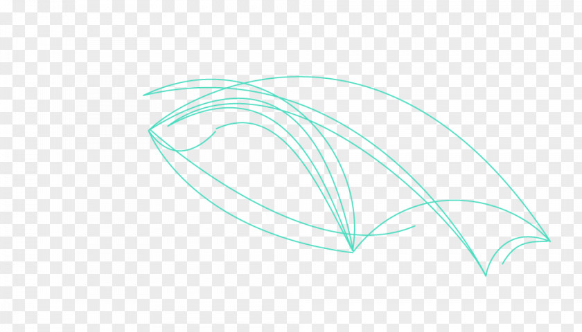 Flight Route Feather Green Line PNG