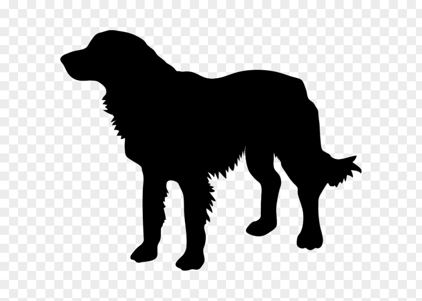 Golden Retriever Labrador Silhouette Photography PNG