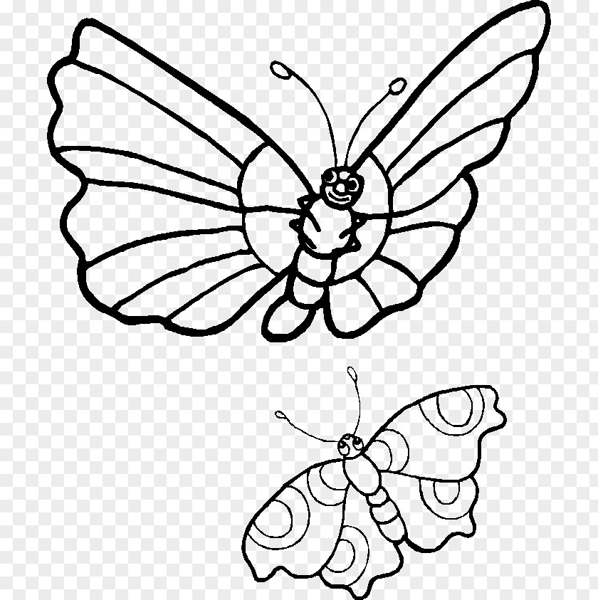 Rainforest Clipart Butterfly Drawing Clip Art PNG