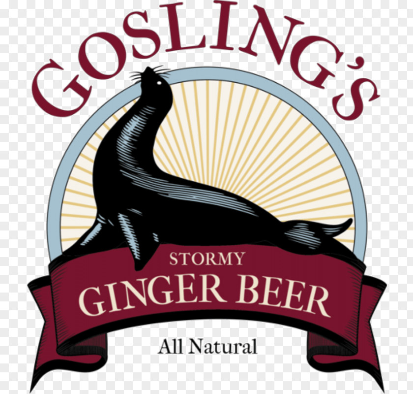 Ginger Beer] Beer Fizzy Drinks Dark 'N' Stormy Rum PNG