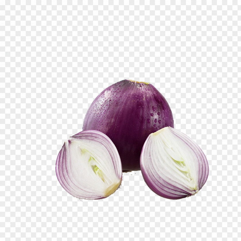 Onion Red Junk Food Diet PNG