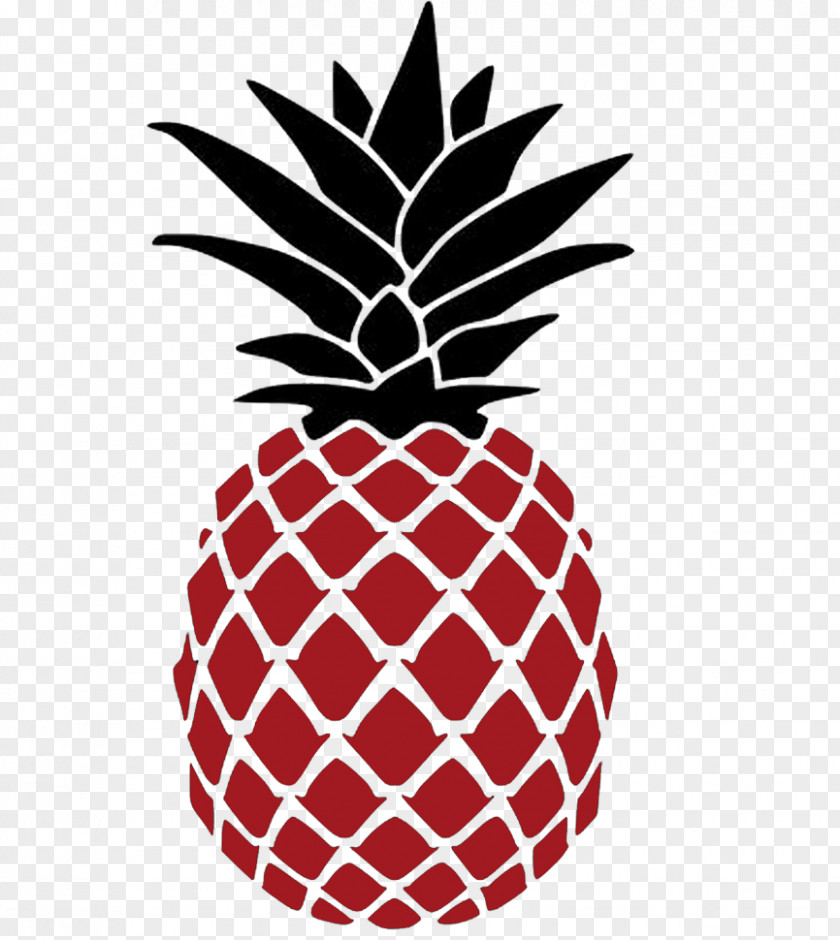 Poales Leaf Pineapple PNG