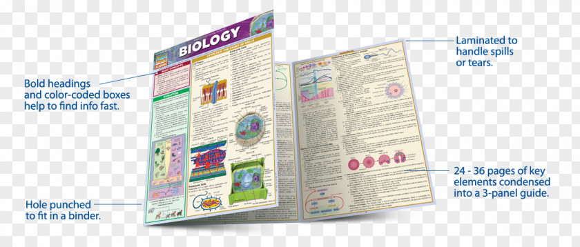 Student Biology Terminology (Speedy Study Guide) Skills SQL Guide PNG
