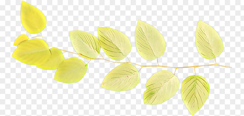 Yellow Leaf Plant Petal PNG