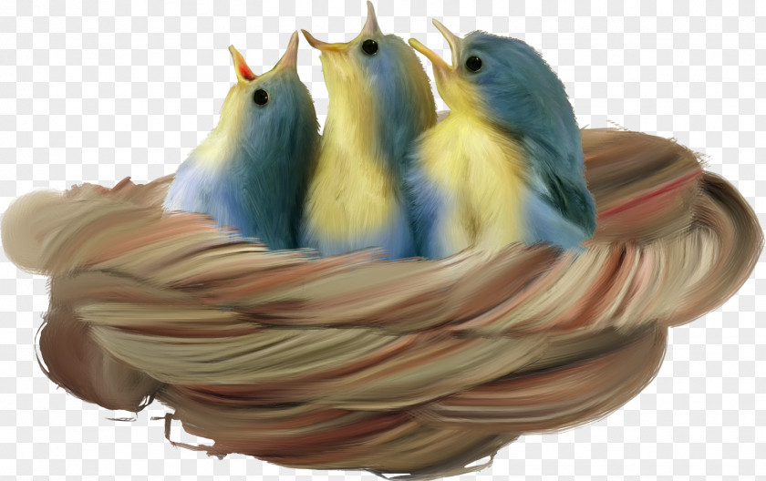Bird Nest Houses PNG