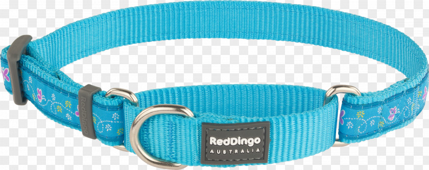 Dog Dingo Collar Martingale PNG