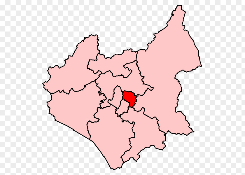 Hoa VÄƒn Leicester South West Electoral District PNG