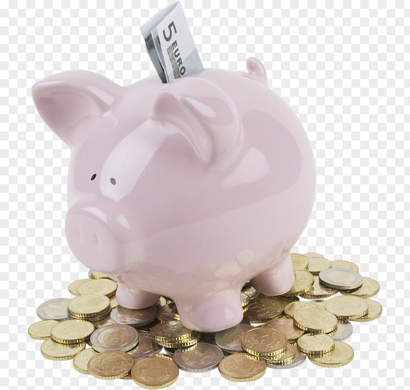 Piggy Bank Saving Money Investment PNG