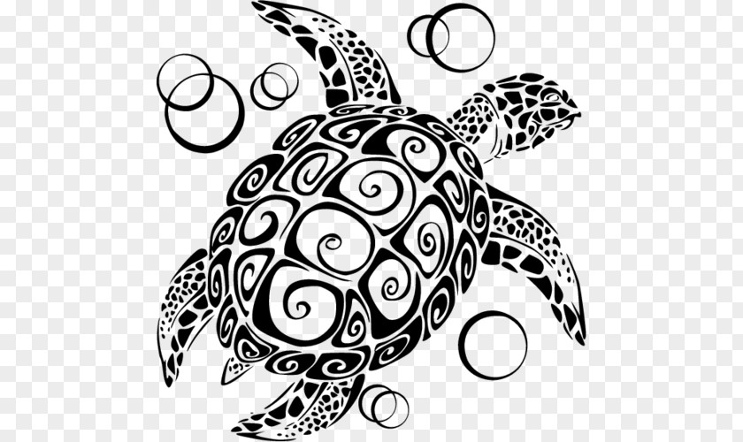 Turtle Drawing Tribal Sea Illustration Vector Graphics PNG