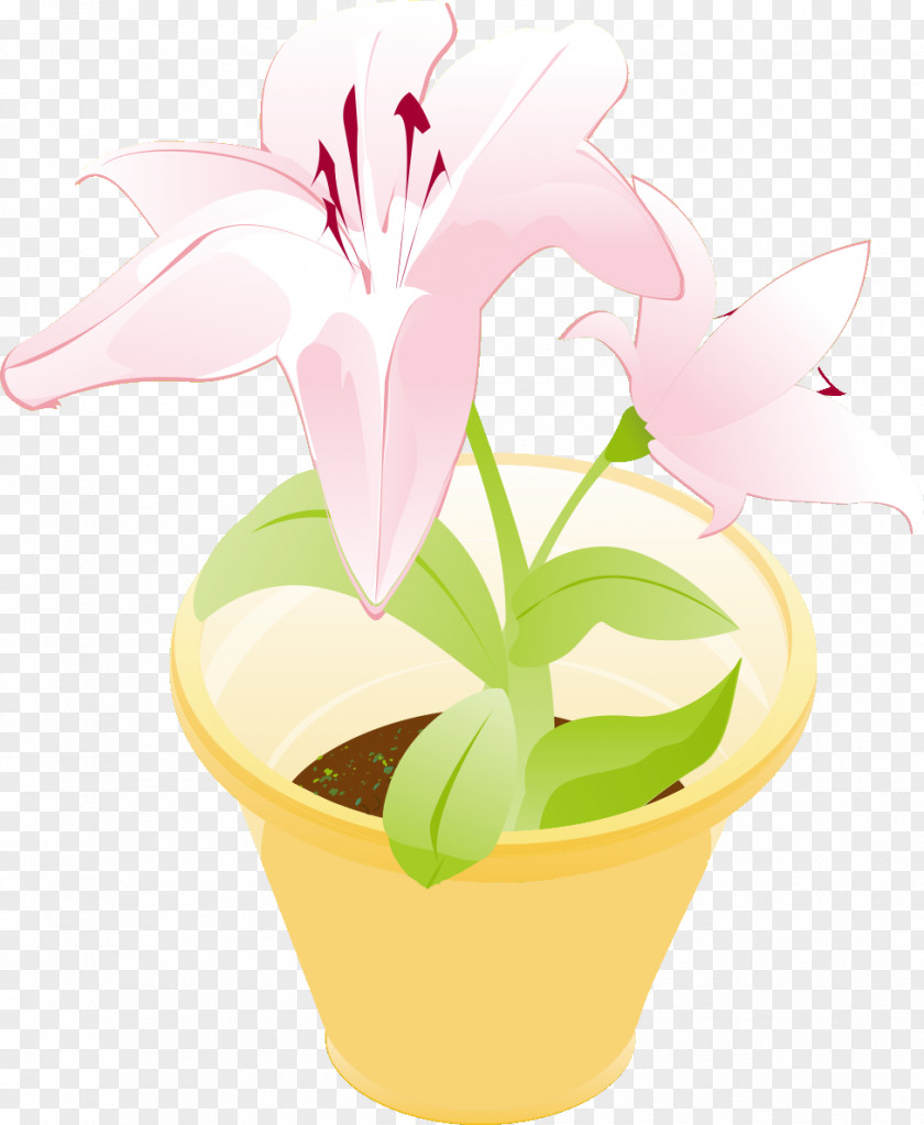 Vector Pot Floral Design Flowerpot Clip Art PNG