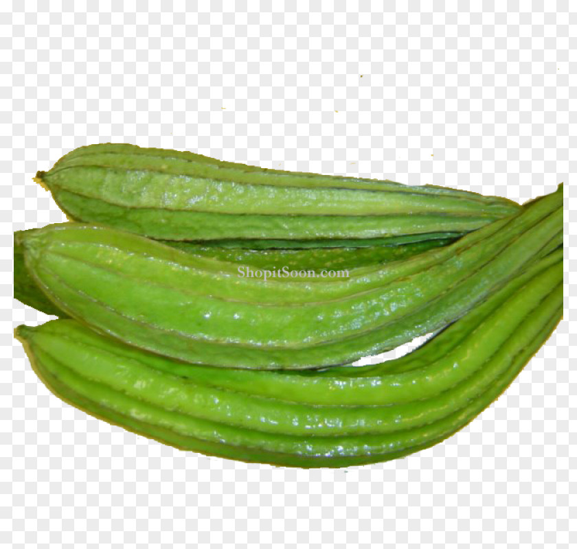 Vegetables Chutney Cucumber Luffa Vegetable Ingredient PNG